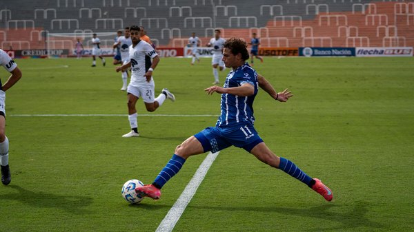 El arte de construir el terrario ideal para tu lagarto: guía completa